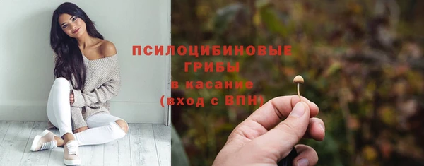 спайс Богородск
