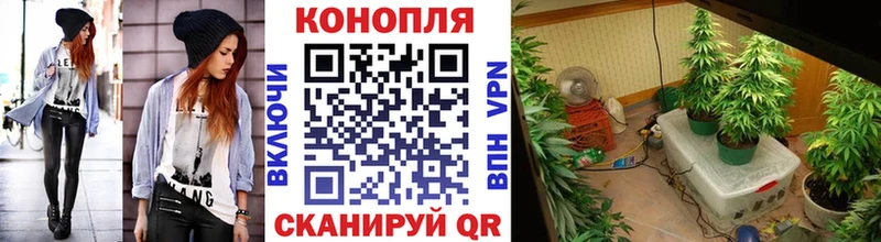Конопля White Widow Велиж